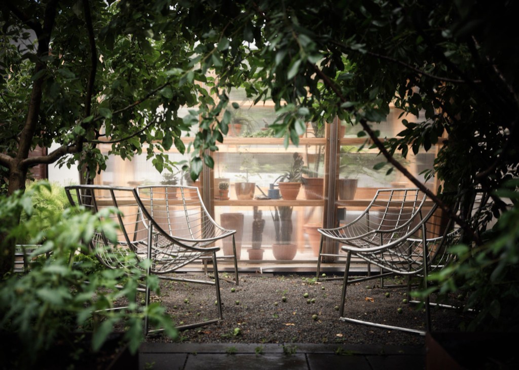 Greenhouse in garden